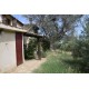 Properties for Sale_Restored Farmhouses _RESTORED FARMHOUSE FOR SALE IN MONTEFIORE DELL'ASO  IN A QUIET AREA in the Marche of Italy in Le Marche_4